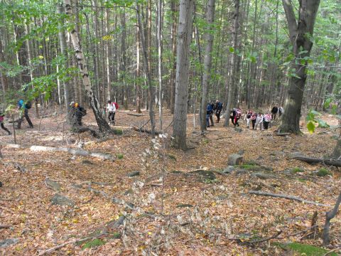 Wycieczka Zlatohorská vrchovina s46 - PTTK Strzelin