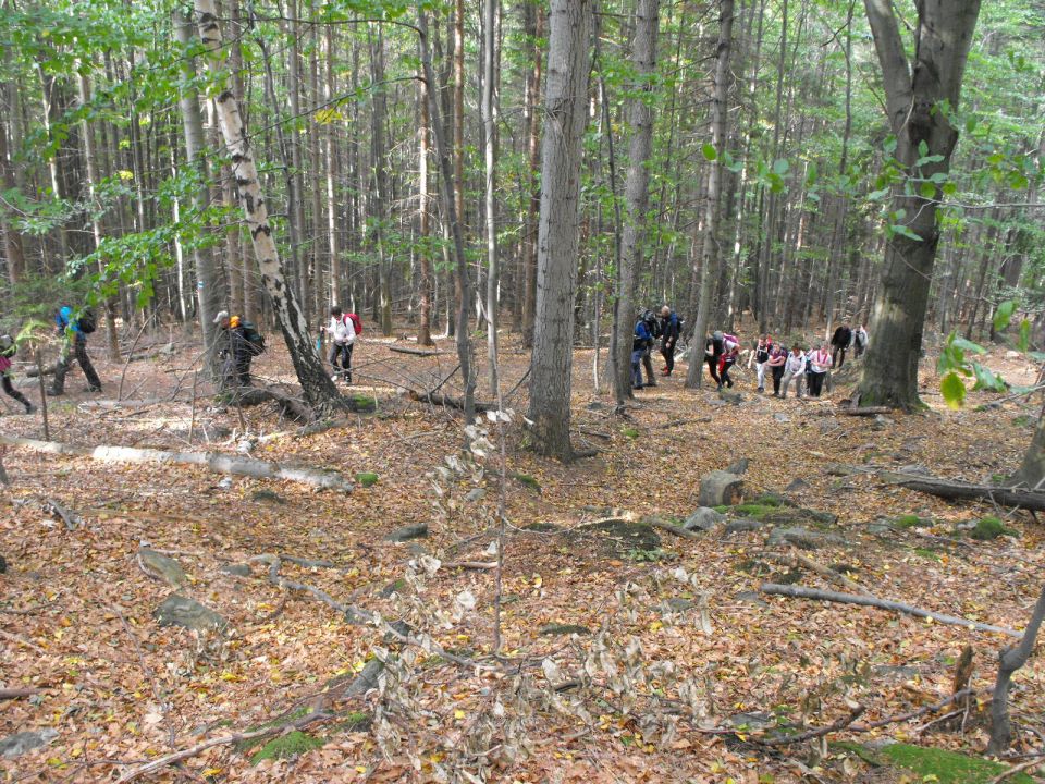 Wycieczka Zlatohorská vrchovina s002 - PTTK Strzelin