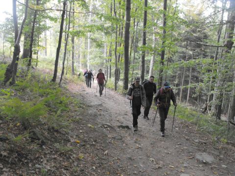 Wycieczka Zlatohorská vrchovina s115 - PTTK Strzelin