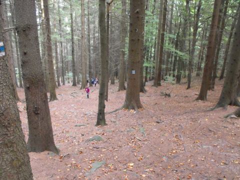 Wycieczka Zlatohorská vrchovina s116 - PTTK Strzelin