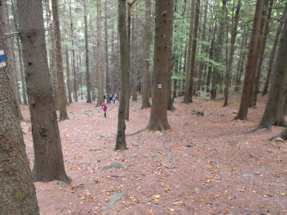 Wycieczka Zlatohorská vrchovina s002 - PTTK Strzelin