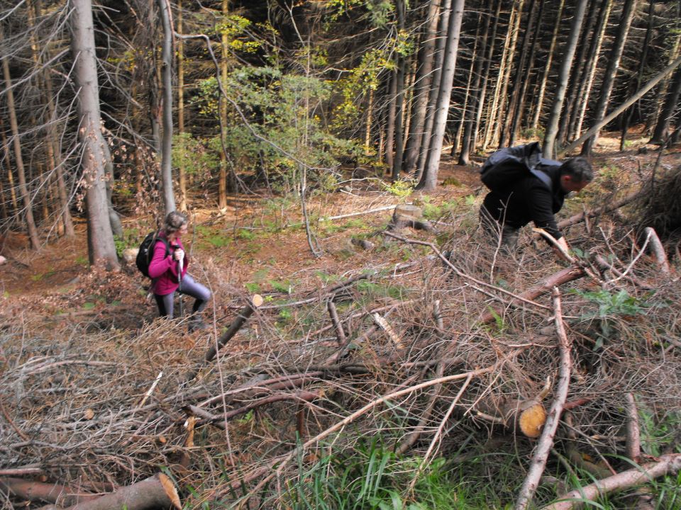 Wycieczka Zlatohorská vrchovina s002 - PTTK Strzelin