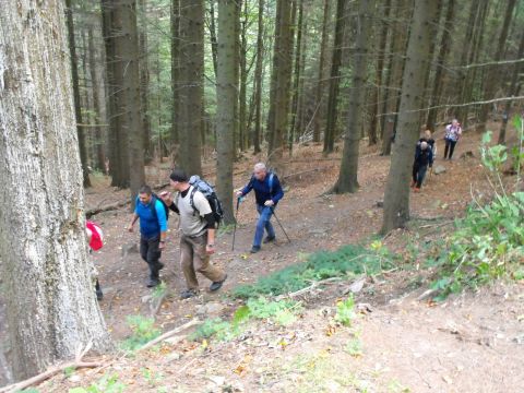 Wycieczka Zlatohorská vrchovina s118 - PTTK Strzelin