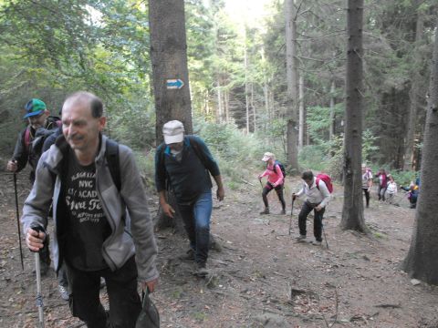 Wycieczka Zlatohorská vrchovina s120 - PTTK Strzelin