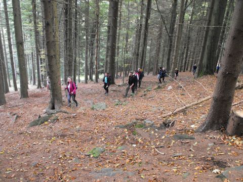 Wycieczka Zlatohorská vrchovina s121 - PTTK Strzelin