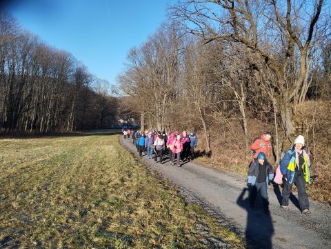 Wycieczka Zlatohorská vrchovina s9 - PTTK Strzelin