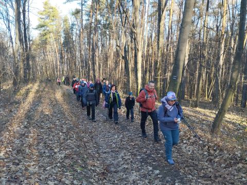 Wycieczka Zlatohorská vrchovina s13 - PTTK Strzelin