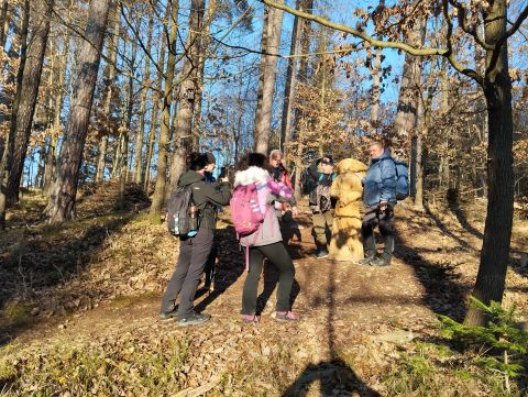 Wycieczka Zlatohorská vrchovina s66 - PTTK Strzelin
