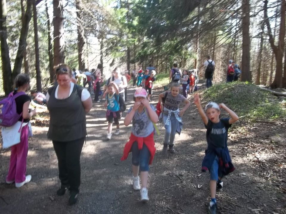 Wycieczka w Góry Złote s002 - PTTK Strzelin