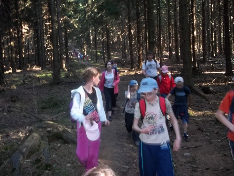 Wycieczka w Góry Złote s002 - PTTK Strzelin