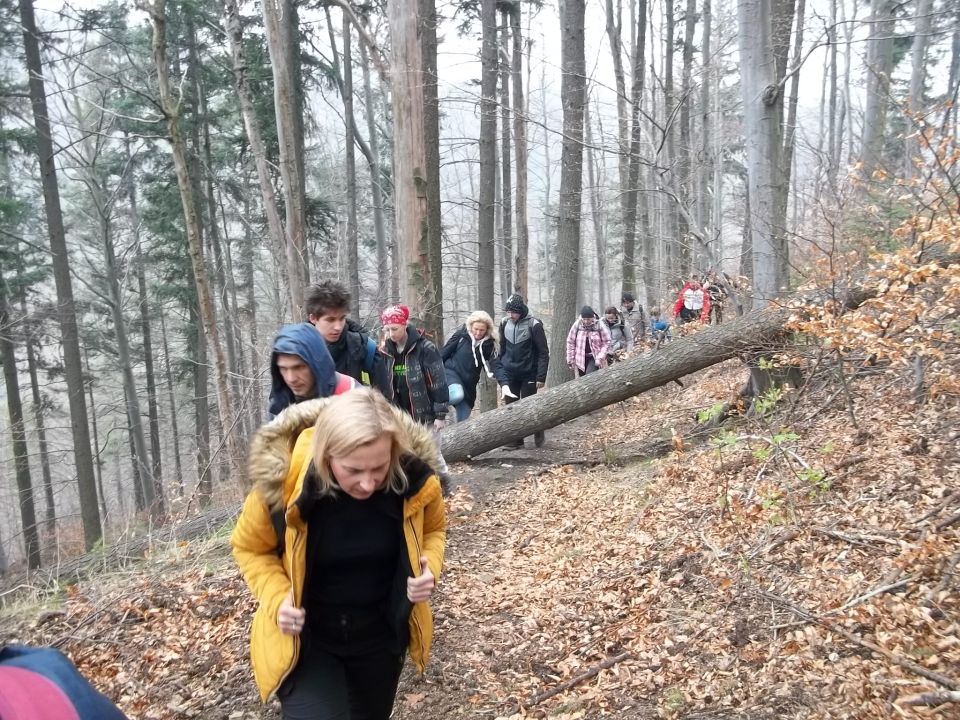 Wycieczka w Góry Złote s002 - PTTK Strzelin