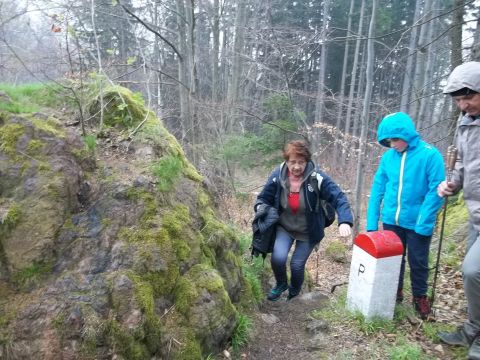 Wycieczka w Góry Złote s30 - PTTK Strzelin