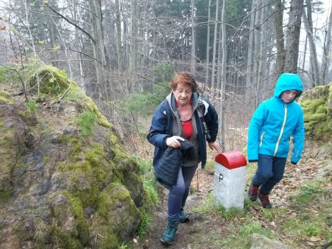 Wycieczka w Góry Złote s31 - PTTK Strzelin