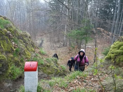 Wycieczka w Góry Złote s35 - PTTK Strzelin