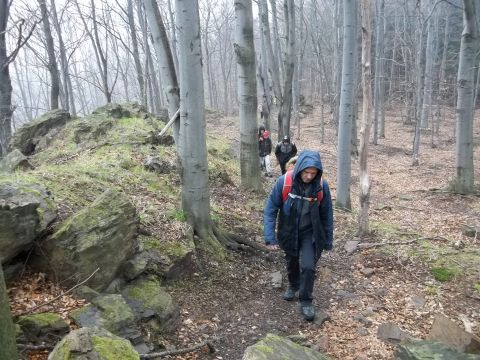 Wycieczka w Góry Złote s41 - PTTK Strzelin