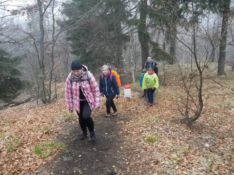 Wycieczka w Góry Złote s49 - PTTK Strzelin