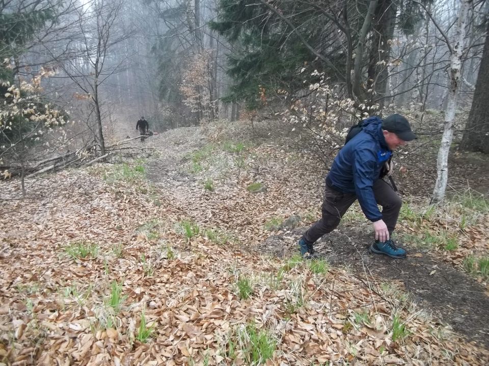 Wycieczka w Góry Złote s002 - PTTK Strzelin