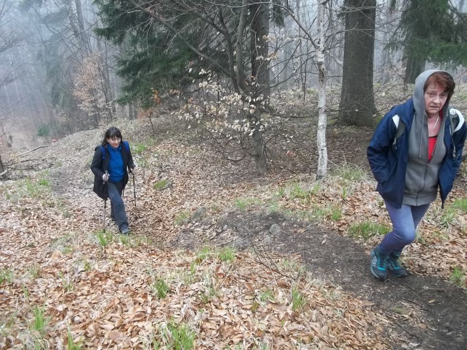 Wycieczka w Góry Złote s002 - PTTK Strzelin