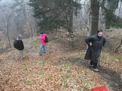 Wycieczka w Góry Złote s59 - PTTK Strzelin