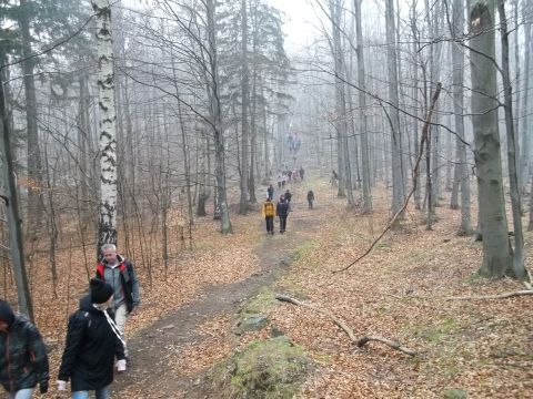Wycieczka w Góry Złote s66 - PTTK Strzelin