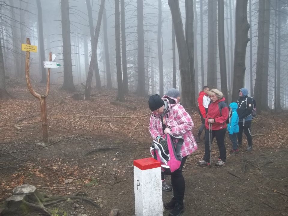 Wycieczka w Góry Złote s002 - PTTK Strzelin