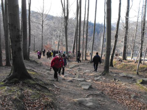 Wycieczka Góry Złote s25 - PTTK Strzelin