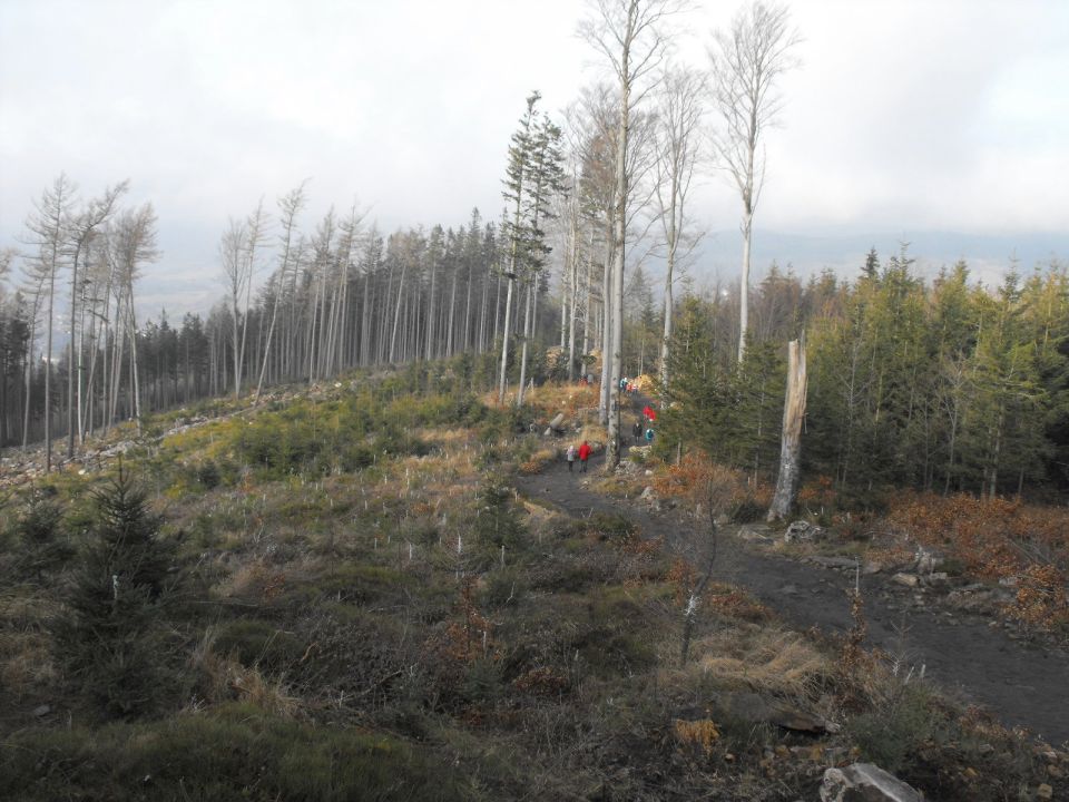 Wycieczka Góry Złote s004 - PTTK Strzelin