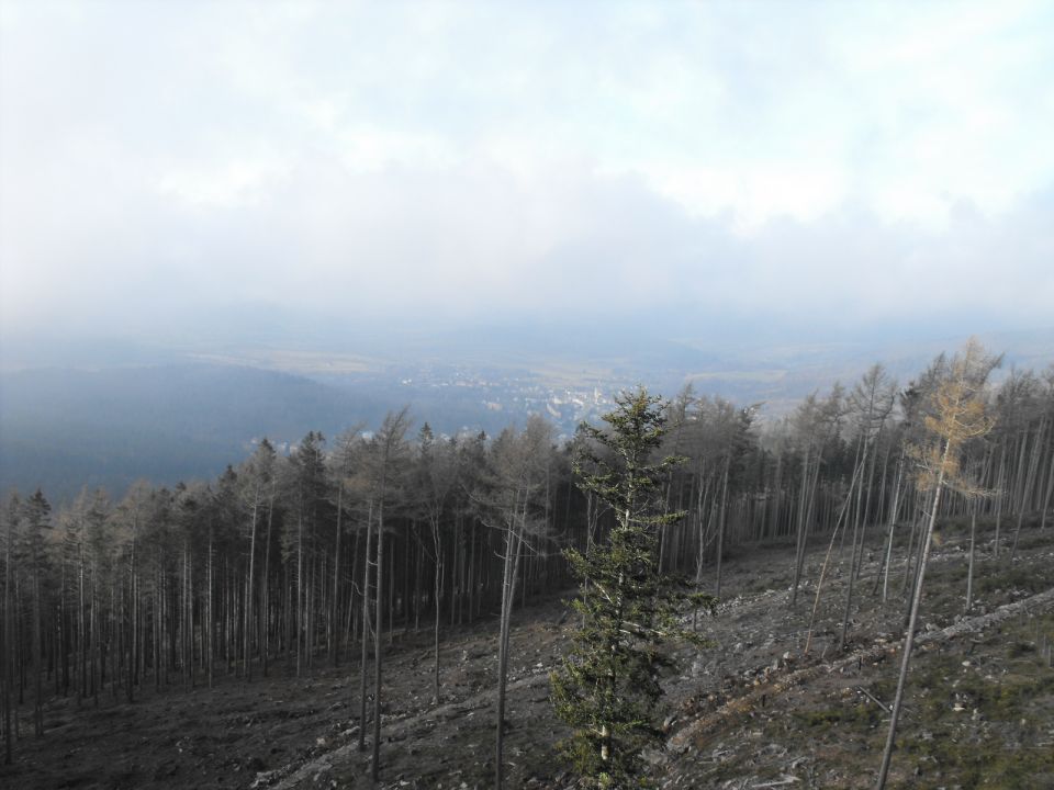 Wycieczka Góry Złote s004 - PTTK Strzelin