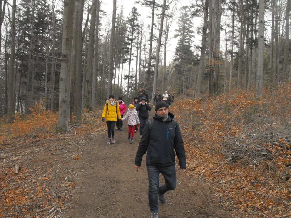 Wycieczka Góry Złote s004 - PTTK Strzelin