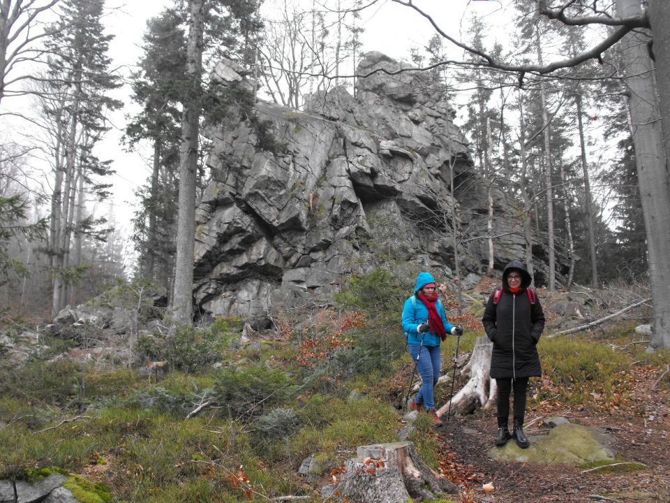 Wycieczka Góry Złote s004 - PTTK Strzelin