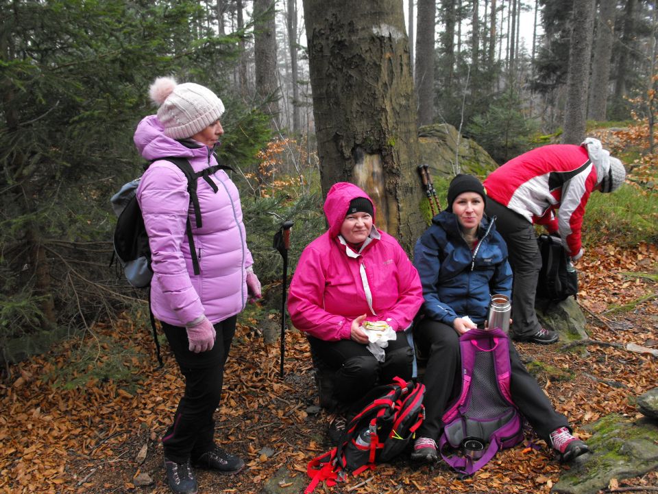 Wycieczka Góry Złote s004 - PTTK Strzelin