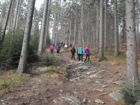 Wycieczka Góry Złote s92 - PTTK Strzelin