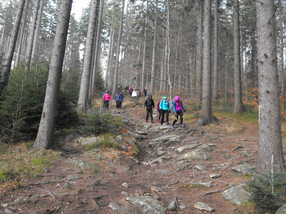 Wycieczka Góry Złote s004 - PTTK Strzelin