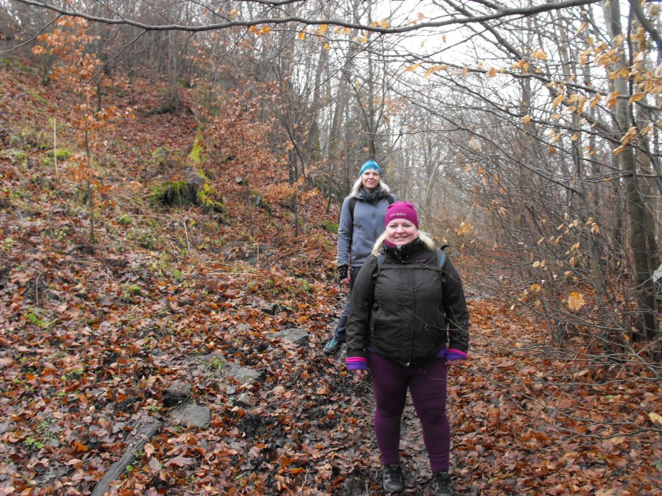 Wycieczka Góry Złote s004 - PTTK Strzelin