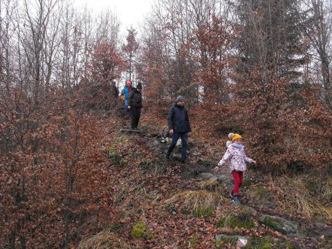 Wycieczka Góry Złote s104 - PTTK Strzelin