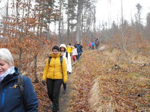 Wycieczka Góry Złote s108 - PTTK Strzelin