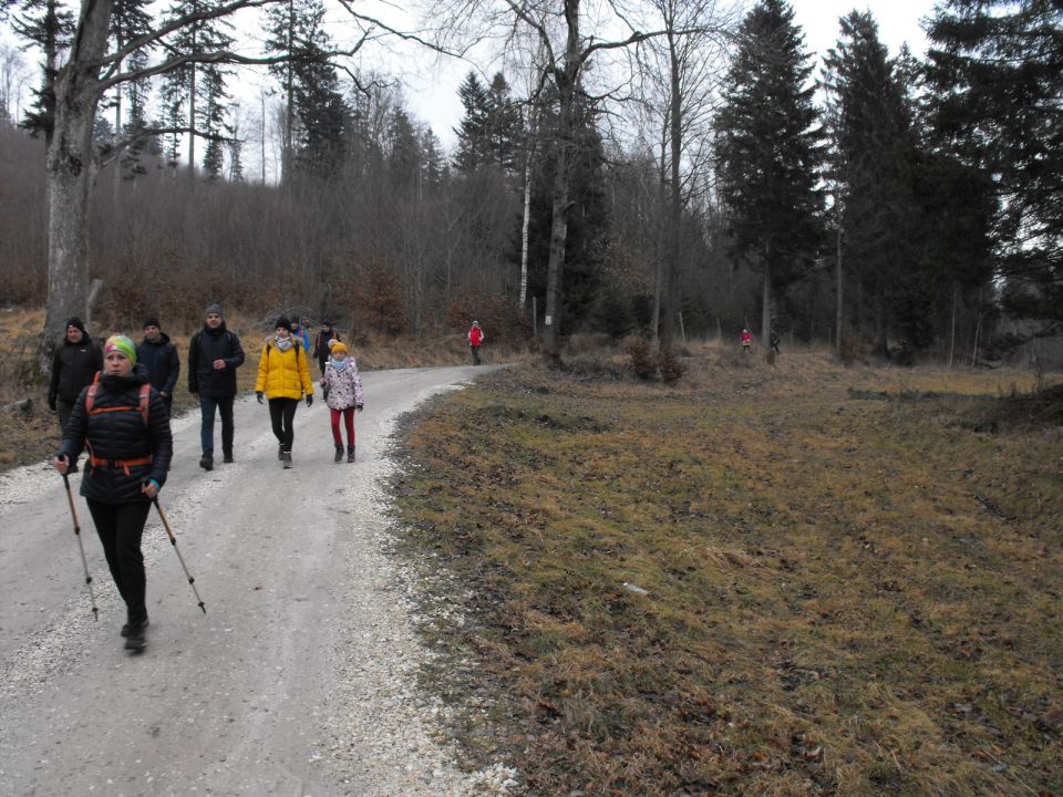 Wycieczka Góry Złote s004 - PTTK Strzelin