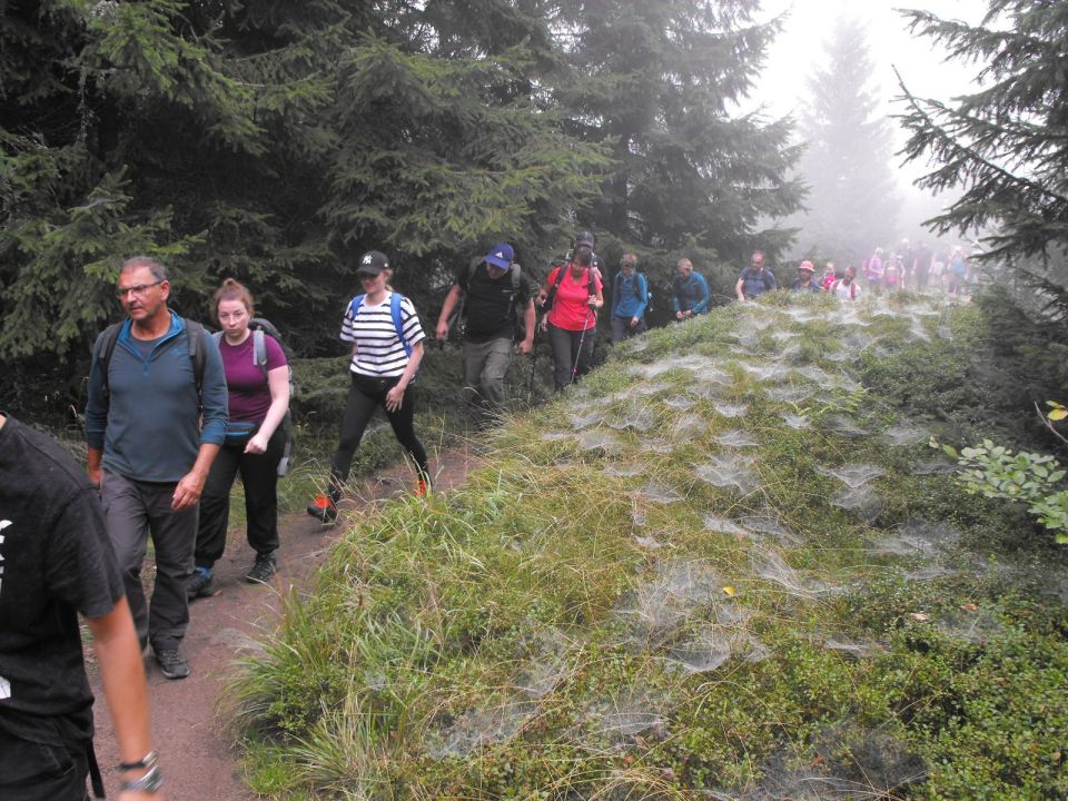 Wycieczka Góry Złote s004 - PTTK Strzelin