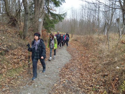Wycieczka Góry Złote s24 - PTTK Strzelin