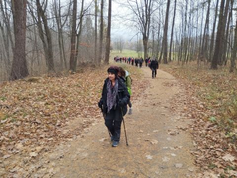 Wycieczka Góry Złote s25 - PTTK Strzelin