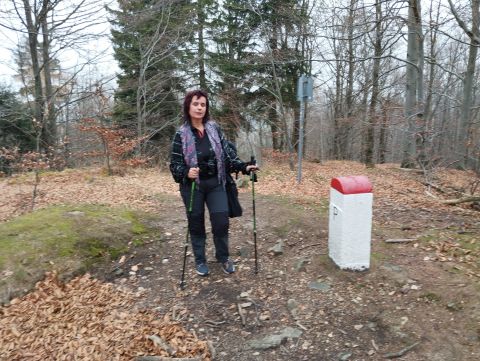 Wycieczka Góry Złote s31 - PTTK Strzelin