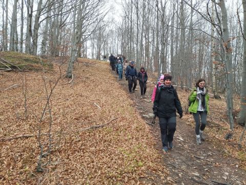 Wycieczka Góry Złote s64 - PTTK Strzelin