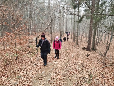 Wycieczka Góry Złote s71 - PTTK Strzelin