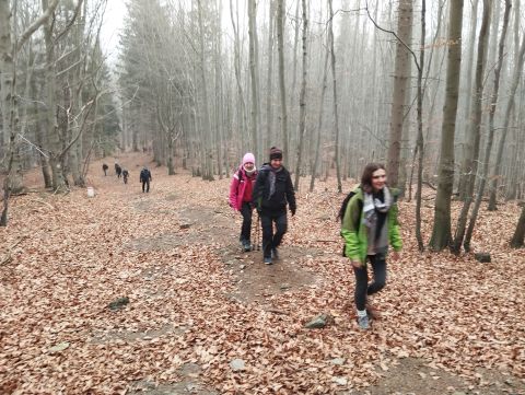 Wycieczka Góry Złote s72 - PTTK Strzelin