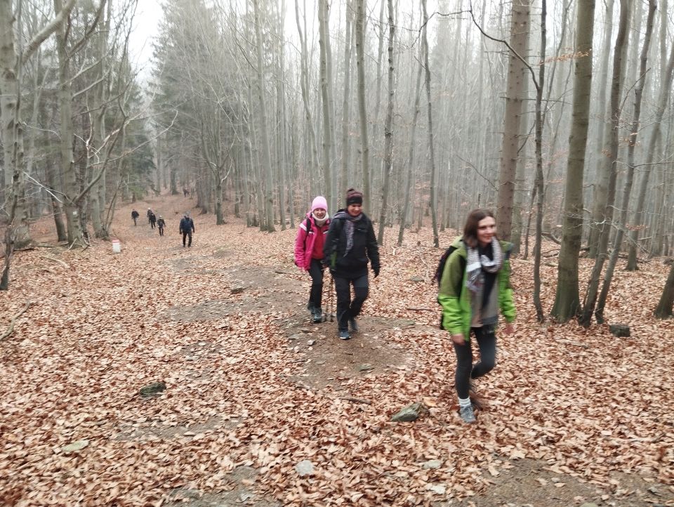 Wycieczka Góry Złote s004 - PTTK Strzelin