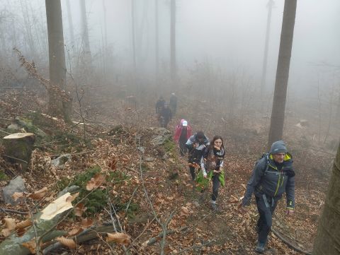 Wycieczka Góry Złote s80 - PTTK Strzelin