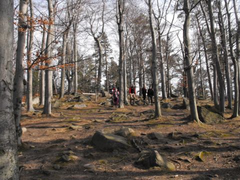 Wycieczka Žulovská pahorkatina s120 - PTTK Strzelin