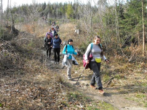 Wycieczka Žulovská pahorkatina s160 - PTTK Strzelin