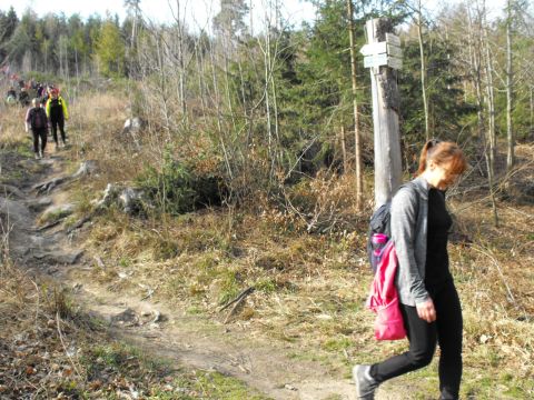 Wycieczka Žulovská pahorkatina s164 - PTTK Strzelin