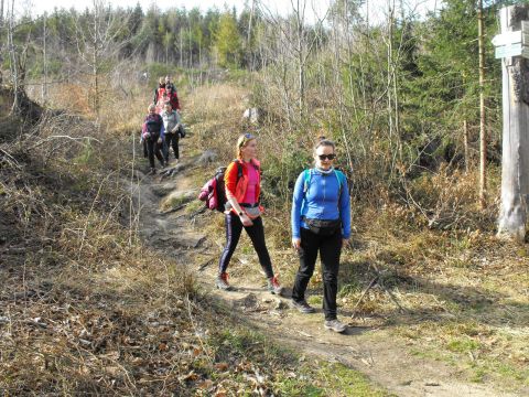 Wycieczka Žulovská pahorkatina s174 - PTTK Strzelin